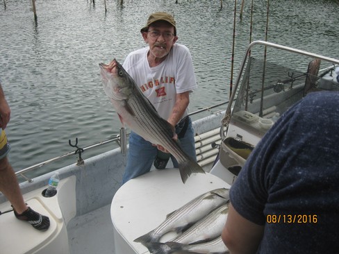 Nice Striped Bass